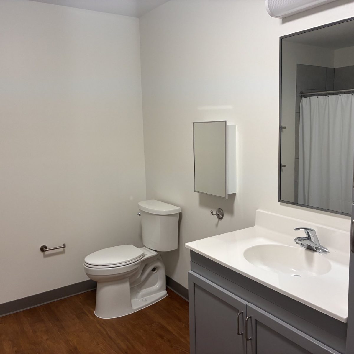 Bathroom in a senior apartment with toilet, vanity sink, mirrored medicine cabinet, and grab bars